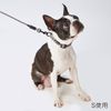 Petio Porta Lead Silver Grey Small