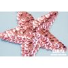 Sequin Motif Star < Large >( M2909/C) Sew on Patch Type 42. Black