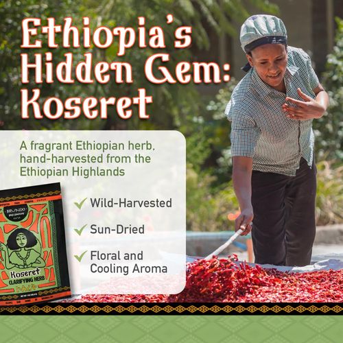 Brundo Market Koseret | Ethiopian Butter Clarifying Herb | Made in Ethiopia | Non-GMO | Organic | Imported from Ethiopia, 2 Ounce (Pack of 1)
