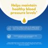Berbacil Capsules, Complete Blood Formula-60 Capsules