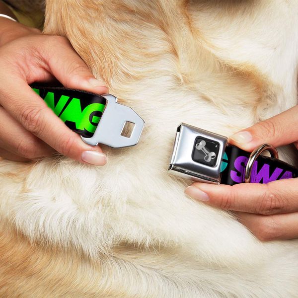 Dog Collar Seatbelt Buckle Swagg Black Hot Pink Turquoise Purple Neon Green 9 to 15 Inches 1.0 Inch Wide