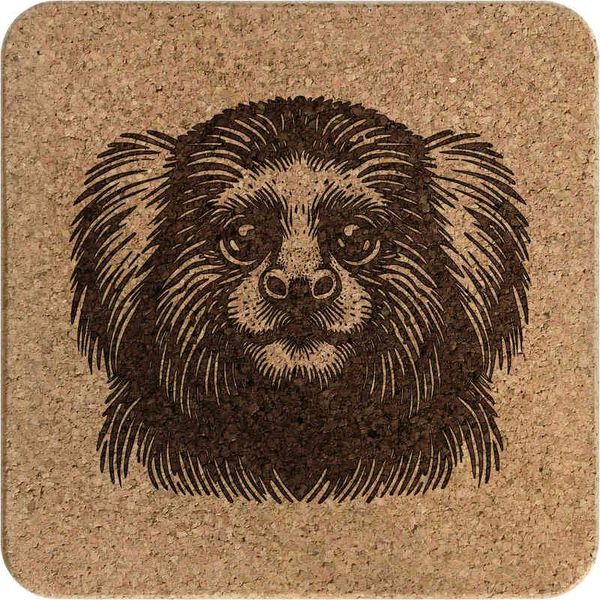 'Marmoset Monkey' Square Cork Trivet/Pot Stand (TR00029996)
