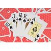 Fournier 1040724 Professional Playing Card Deck 100% Plastic, Blue
