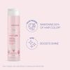 Joico InnerJoi Preserve Conditioner 10oz