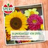 Sperli Chicken Meadow Chicken Buffet