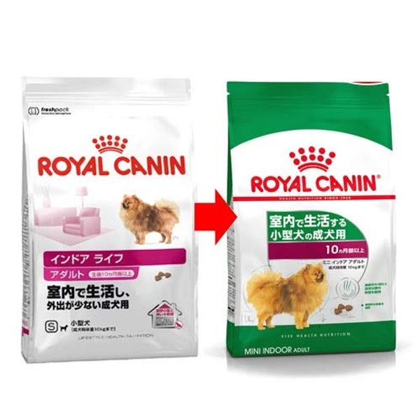 Royal Canin SHN Mini Indoor Adult 800g