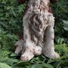 Vivid Arts - Springer Spaniel - XRL-SPSP-D