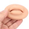 10PCS Silicone Fake Lips Skin Tattoo Soft Microblading Practice Lips Open Mouth Silicone 3D Fake Lips Permanent Makeup Training Practice Skin Lip Mold for Tattoo Artists Training Skin Cosmetic