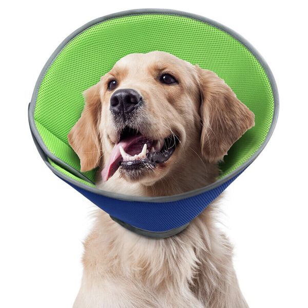 Soft Dog Cone Collar For After Surgery Care / Small Dogs 🐕