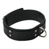 Strict Leather Standard Lined Collar