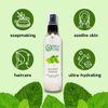 16 fl oz Spearmint Floral Water (Hydrosol)