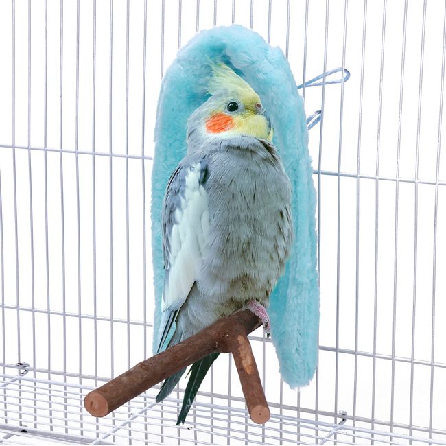 Filhome Comfort Corner Fleece Bird Blanket Parrot Cage Snuggle Hut Warm Bird Nest House Bed Hanging Hammock Toy for Parakeet Cockatiel Pigeon Small Animals Shelter Plush Bedding(Blue/M)