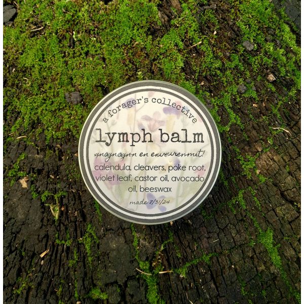 lymph balm , lymphatic salve , herbal ointment , aforagerscollective