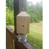 Boring /Wood Bee Catcher  Trsp