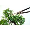 Okatsune Bonsai Scissors, No.206