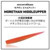 DAIWA Chivas Wind Worm Moissanite Middle Upper 3.5" Silver Powder Raw Lure