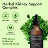 Kidney Support and Urinary Tract Support with 7 Plant Extracts Optimal Kidney