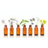 Kümmelöl, 10ml von Dragonspice Naturwaren, 10ml