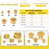 Mardatt 6Pcs 1/8" Brass NPT Plug, Internal Hex Counter Sunk Pipe Fitting Male Thread Pipe Plug Set