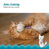 Petstages Catnip Chew Mice