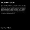 Sigma Colour + Shape Brow Powder Duo