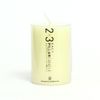 2x3 Pillar Candles Ivory