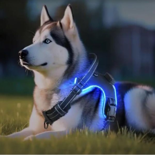 Dog Harness Led Light Pet Adjustable Dog Harness Safety Harness Small Medium Lar