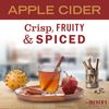 Mrs. Meyer's Hand Soap, Made with Essential Oils, Biodegradable Formula, Limited Edition Apple Cider, 12.5 oz - Pack of 3