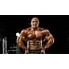 Tribulus Terrestris Extract - Testosteron Booster -  Saponins 40% - 3B