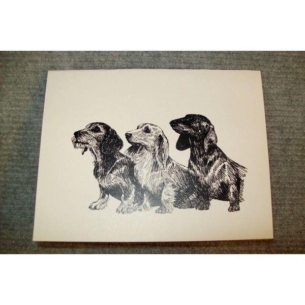 Dachshund Pen and Ink Stationary Cards, Note Cards, Greeting Cards. 20 pack.