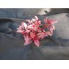 Weed Control Fabric 2m x 10m weed barrier matting