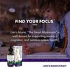 Lion's Mane Mushroom Supplement for Brain Support 2 Fl Oz Organic Formula