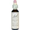 Chestnut Bud Essence