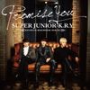 Promise You (CD ONLY)