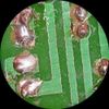 AmScope SW24BZ 20x-40x-80x Super Widefield Stereo Binocular Microscope Head