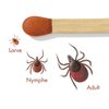 bugbitefamily BF01100000 Tick Off Tick Removal, White