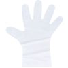 No.3061 Ev Care Silky Gloves, Disposable Gloves, Translucent, Boxed, LL Size, 100 Sheets