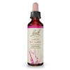Bach Original Flower Remedies, Larch - Have Confidence - Natural Homeopathic Flower Essence for Emotional Balance - Vegan, Gluten Free, Sugar Free - 20mL Dropper