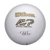 Wilson Castaway Volleyball Ball White 5
