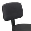 2X Rolling Bar Stool Adjustable Massage Spa Salon Chair Hydraulic With Back Rest