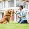 NEW Rechargeable Anti Barking Device Ultrasonic Dog Training-Bark Control Device