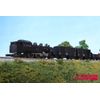 Z gauge T024 – 1 Rail Wham 70000 Shape Wagon 2 Both Set