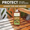 Star brite 52216 Premium Teak Oil, 16 oz