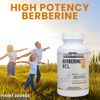 Planet Source Berberine HCl 1200 Mg per Serving 60 Capsules