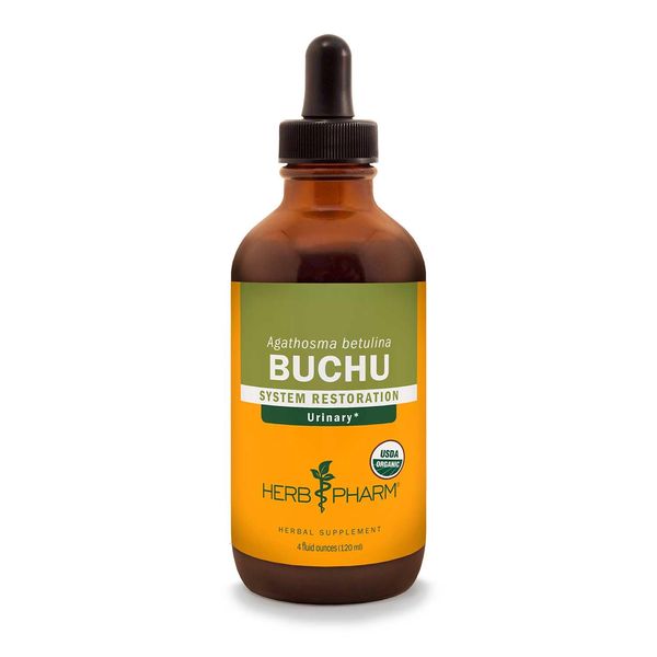 Herb Pharm Certified Organic Buchu Liquid Extract for Urinary System Support - 4 Ounce