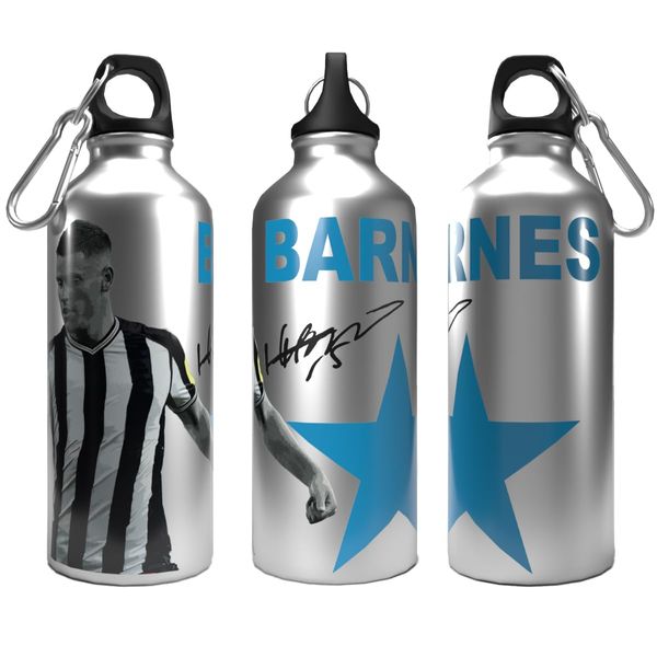 Newcastle Bottle Barnes 2-Lid Aluminium 600ml Silver