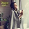 Mighty Leaf Organic Green Dragon Tea, 100 Tea Pouches