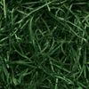 Box.it.pack.it Forest Green Shredded Kraft Paper, 500g