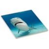 Sam Sandor 4 Inch Ceramic Tile Art - Huge Tiger Shark Closeup