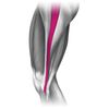 Mueller 55128 Wrap Around Knee Support, S-M Size, Knee Supporter, 9.1 - 15.0 inches (23 - 38 cm), Left and Right